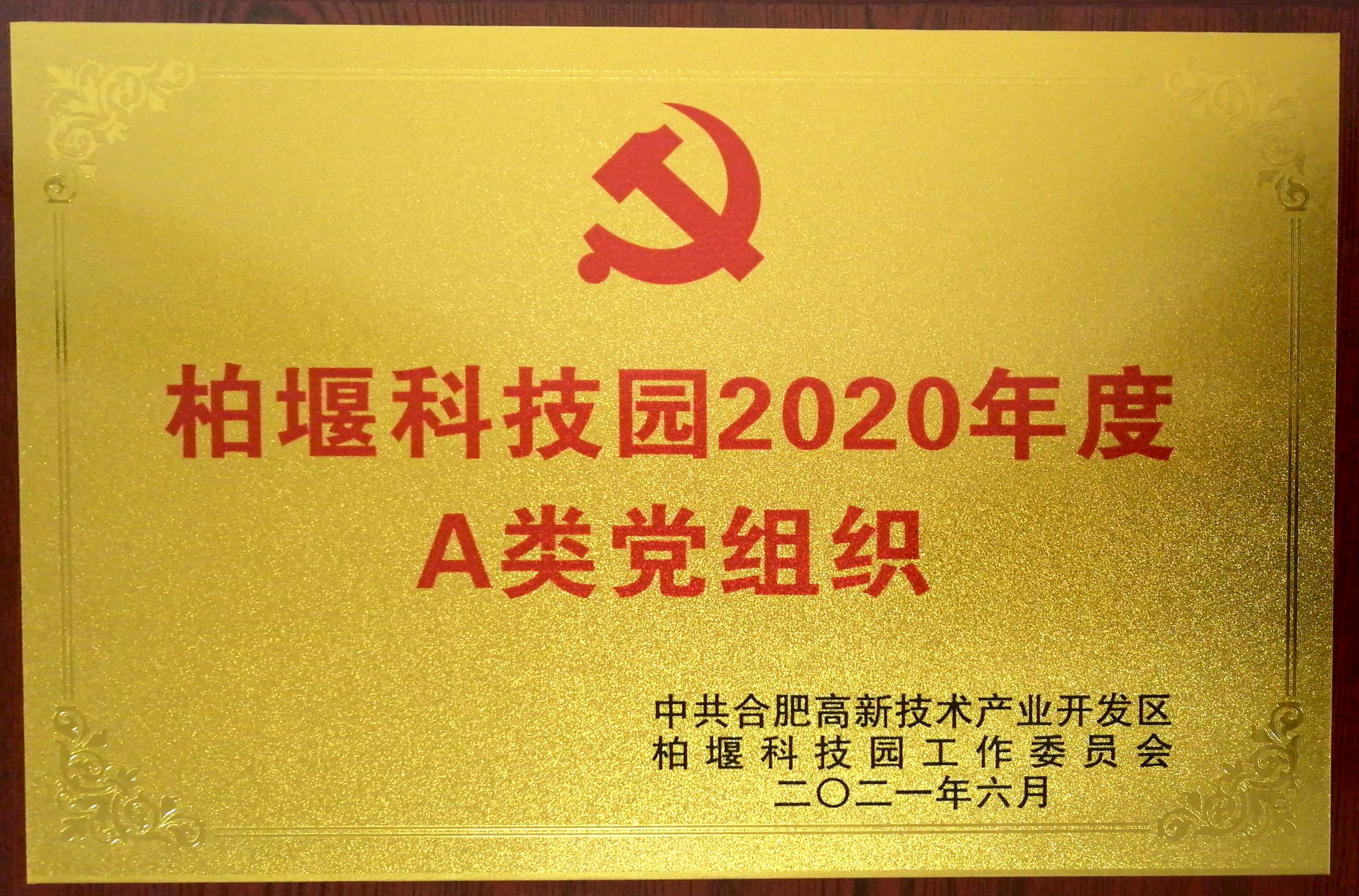 柏堰科技园A类党组织,深蓝医疗