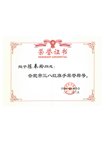 合肥市三八红旗手